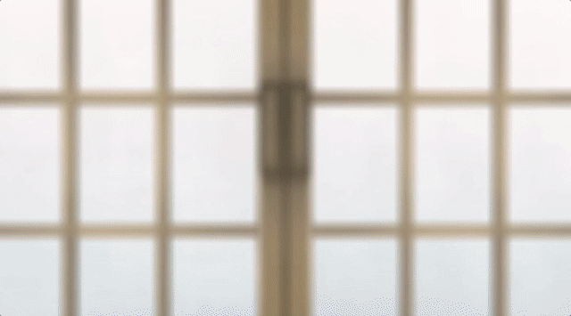 Alice to Zouroku Apr-10-2017 16-22-20