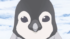 Alice to Zouroku Apr-10-2017 16-24-16